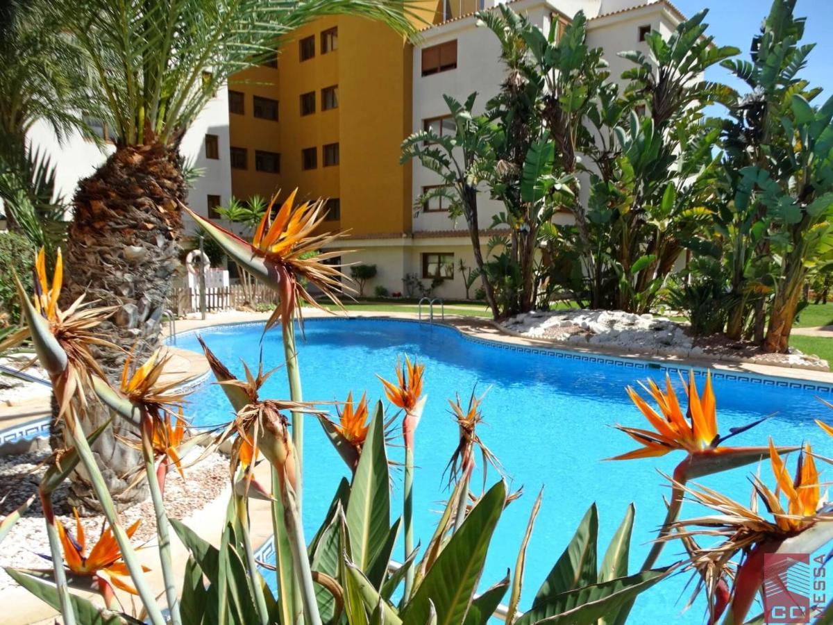 Apartamento Eleonor, La Entrada, Punta Prima, Torrevieja Extérieur photo